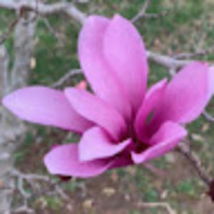 Meet your Posher, Melanie